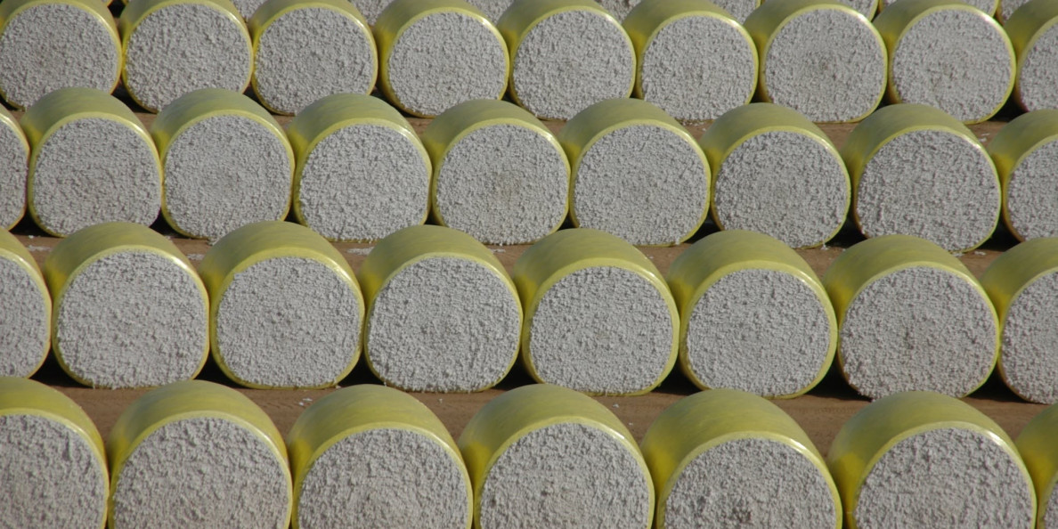 Cotton News 08/21/2026